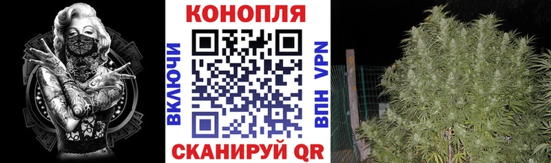 Бошки Шишки Задонск