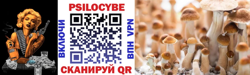 Галлюциногенные грибы MAGIC MUSHROOMS  Купить где  Задонск 
